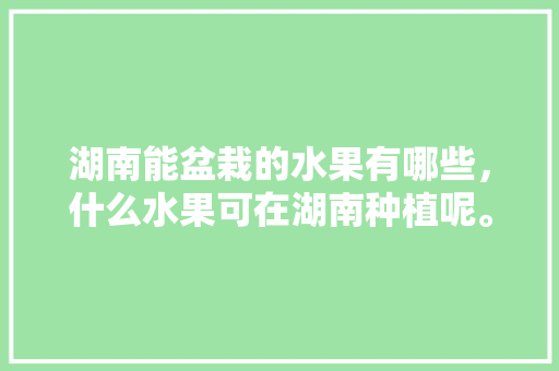 湖南能盆栽的水果有哪些，什么水果可在湖南种植呢。 湖南能盆栽的水果有哪些，什么水果可在湖南种植呢。 蔬菜种植