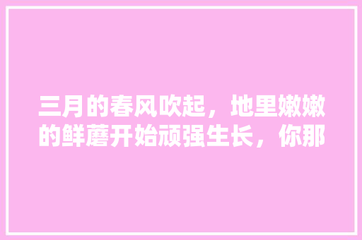 三月的春风吹起，地里嫩嫩的鲜蘑开始顽强生长，你那里有哪些野生蘑菇？怎么做好吃，适合寒地种植的蔬菜水果有哪些。 三月的春风吹起，地里嫩嫩的鲜蘑开始顽强生长，你那里有哪些野生蘑菇？怎么做好吃，适合寒地种植的蔬菜水果有哪些。 土壤施肥