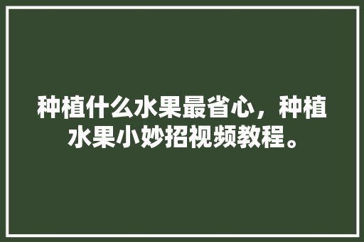 种植什么水果最省心，种植水果小妙招视频教程。 种植什么水果最省心，种植水果小妙招视频教程。 蔬菜种植