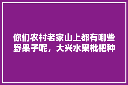 你们农村老家山上都有哪些野果子呢，大兴水果枇杷种植基地地址。 你们农村老家山上都有哪些野果子呢，大兴水果枇杷种植基地地址。 家禽养殖