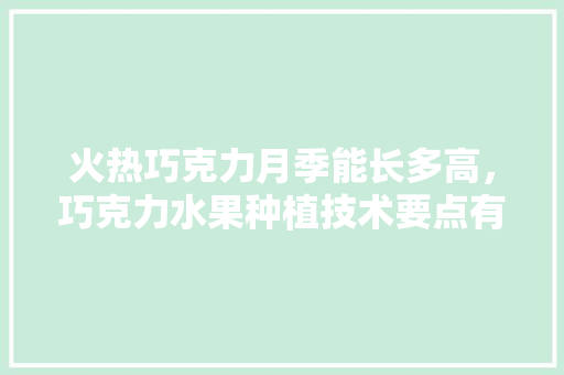 火热巧克力月季能长多高，巧克力水果种植技术要点有哪些。 火热巧克力月季能长多高，巧克力水果种植技术要点有哪些。 蔬菜种植