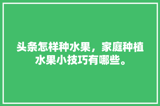 头条怎样种水果，家庭种植水果小技巧有哪些。 头条怎样种水果，家庭种植水果小技巧有哪些。 水果种植