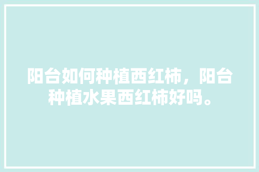 阳台如何种植西红柿，阳台种植水果西红柿好吗。 阳台如何种植西红柿，阳台种植水果西红柿好吗。 土壤施肥