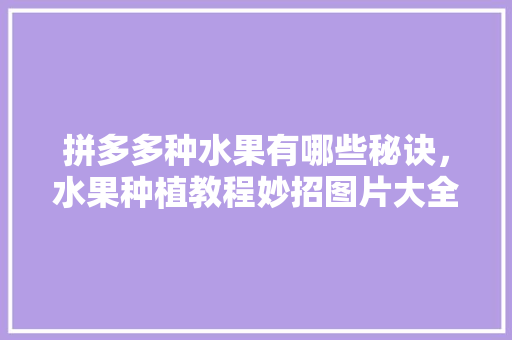 拼多多种水果有哪些秘诀，水果种植教程妙招图片大全。 拼多多种水果有哪些秘诀，水果种植教程妙招图片大全。 蔬菜种植