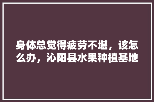 身体总觉得疲劳不堪，该怎么办，沁阳县水果种植基地在哪里。 身体总觉得疲劳不堪，该怎么办，沁阳县水果种植基地在哪里。 蔬菜种植