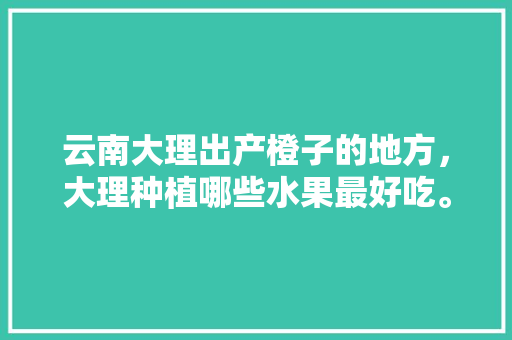 云南大理出产橙子的地方，大理种植哪些水果最好吃。 云南大理出产橙子的地方，大理种植哪些水果最好吃。 蔬菜种植