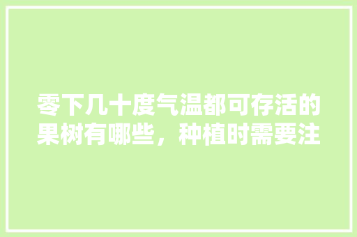 零下几十度气温都可存活的果树有哪些，种植时需要注意些什么，种植很少的水果叫什么。 零下几十度气温都可存活的果树有哪些，种植时需要注意些什么，种植很少的水果叫什么。 土壤施肥