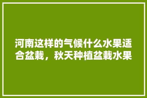 河南这样的气候什么水果适合盆栽，秋天种植盆栽水果可以吗。 河南这样的气候什么水果适合盆栽，秋天种植盆栽水果可以吗。 土壤施肥