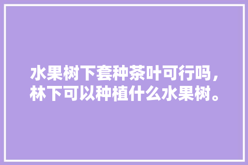 水果树下套种茶叶可行吗，林下可以种植什么水果树。 水果树下套种茶叶可行吗，林下可以种植什么水果树。 土壤施肥