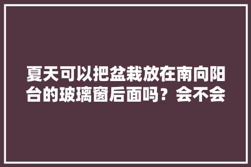 夏天可以把盆栽放在南向阳台的玻璃窗后面吗？会不会被晒伤？植物见光照好么，夏天种植阳台水果好吗视频。 夏天可以把盆栽放在南向阳台的玻璃窗后面吗？会不会被晒伤？植物见光照好么，夏天种植阳台水果好吗视频。 家禽养殖