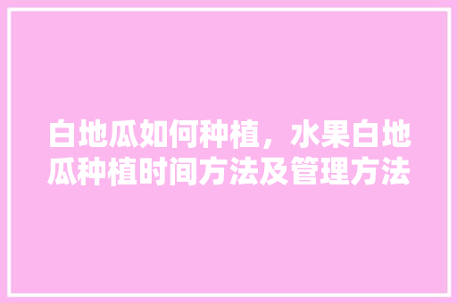 白地瓜如何种植，水果白地瓜种植时间方法及管理方法。 白地瓜如何种植，水果白地瓜种植时间方法及管理方法。 家禽养殖