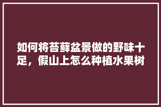 如何将苔藓盆景做的野味十足，假山上怎么种植水果树。 如何将苔藓盆景做的野味十足，假山上怎么种植水果树。 土壤施肥