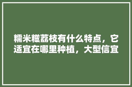 糯米糍荔枝有什么特点，它适宜在哪里种植，大型信宜水果种植基地在哪里。 糯米糍荔枝有什么特点，它适宜在哪里种植，大型信宜水果种植基地在哪里。 家禽养殖