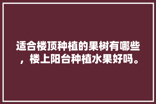 适合楼顶种植的果树有哪些，楼上阳台种植水果好吗。 适合楼顶种植的果树有哪些，楼上阳台种植水果好吗。 畜牧养殖