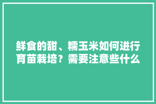 鲜食的甜、糯玉米如何进行育苗栽培？需要注意些什么，种植水果创新大赛资料怎么写。 鲜食的甜、糯玉米如何进行育苗栽培？需要注意些什么，种植水果创新大赛资料怎么写。 蔬菜种植