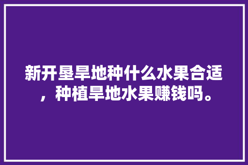 新开垦旱地种什么水果合适，种植旱地水果赚钱吗。 新开垦旱地种什么水果合适，种植旱地水果赚钱吗。 水果种植