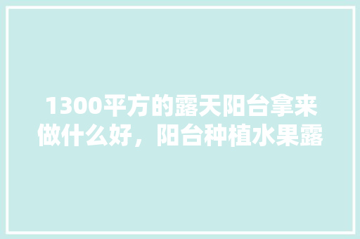 1300平方的露天阳台拿来做什么好，阳台种植水果露天好吗视频。 1300平方的露天阳台拿来做什么好，阳台种植水果露天好吗视频。 土壤施肥