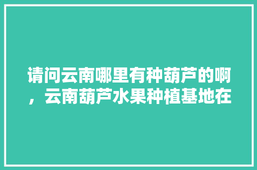 请问云南哪里有种葫芦的啊，云南葫芦水果种植基地在哪里。 请问云南哪里有种葫芦的啊，云南葫芦水果种植基地在哪里。 水果种植