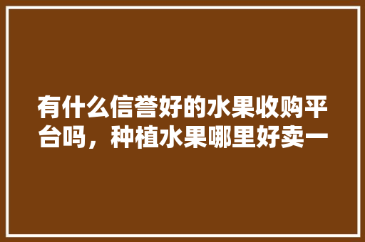 有什么信誉好的水果收购平台吗，种植水果哪里好卖一点。 有什么信誉好的水果收购平台吗，种植水果哪里好卖一点。 土壤施肥