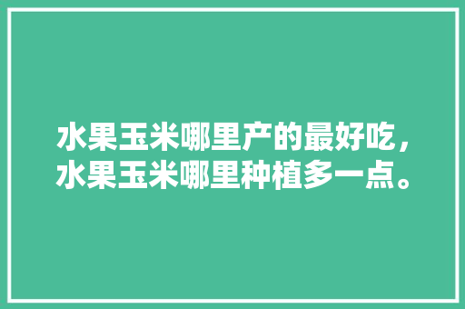 水果玉米哪里产的最好吃，水果玉米哪里种植多一点。 水果玉米哪里产的最好吃，水果玉米哪里种植多一点。 水果种植