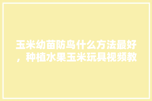 玉米幼苗防鸟什么方法最好，种植水果玉米玩具视频教程。 玉米幼苗防鸟什么方法最好，种植水果玉米玩具视频教程。 土壤施肥