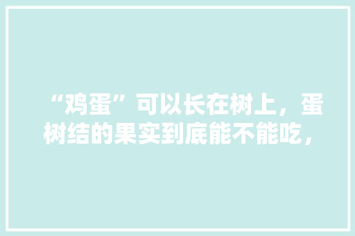 “鸡蛋”可以长在树上，蛋树结的果实到底能不能吃，水果种植小妙招鸡蛋视频。 “鸡蛋”可以长在树上，蛋树结的果实到底能不能吃，水果种植小妙招鸡蛋视频。 水果种植