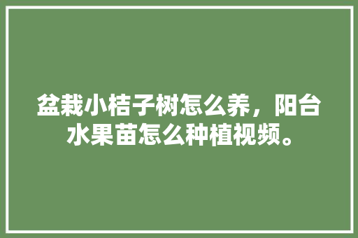 盆栽小桔子树怎么养，阳台水果苗怎么种植视频。 盆栽小桔子树怎么养，阳台水果苗怎么种植视频。 水果种植