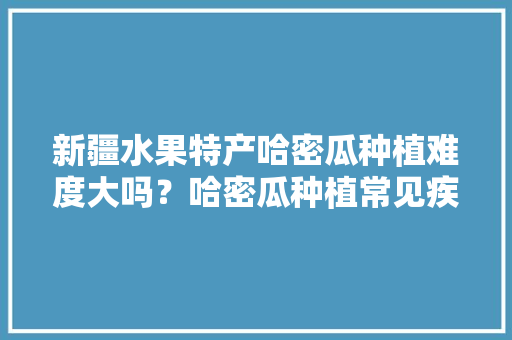 新疆水果特产哈密瓜种植难度大吗？哈密瓜种植常见疾病有哪些，新疆大棚种植热带水果有哪些。 新疆水果特产哈密瓜种植难度大吗？哈密瓜种植常见疾病有哪些，新疆大棚种植热带水果有哪些。 畜牧养殖