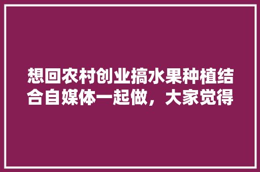 想回农村创业搞水果种植结合自媒体一起做，大家觉得怎么样？有什么建议呢，个体种植水果违法吗。 想回农村创业搞水果种植结合自媒体一起做，大家觉得怎么样？有什么建议呢，个体种植水果违法吗。 水果种植