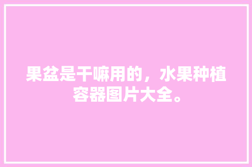 果盆是干嘛用的，水果种植容器图片大全。 果盆是干嘛用的，水果种植容器图片大全。 蔬菜种植