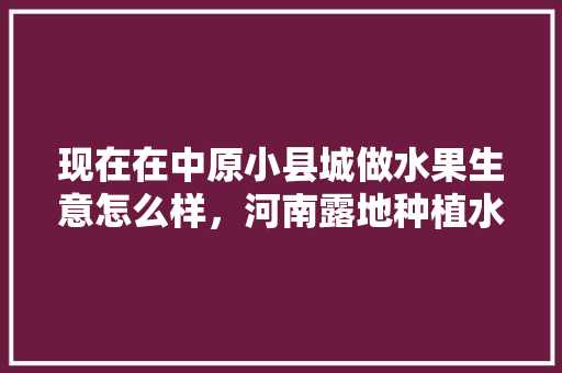 现在在中原小县城做水果生意怎么样，河南露地种植水果怎么样啊。 现在在中原小县城做水果生意怎么样，河南露地种植水果怎么样啊。 蔬菜种植