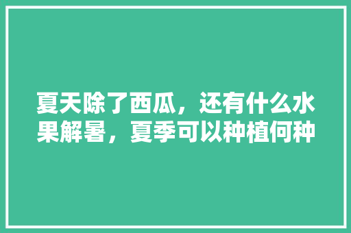 夏天除了西瓜，还有什么水果解暑，夏季可以种植何种水果呢。 夏天除了西瓜，还有什么水果解暑，夏季可以种植何种水果呢。 畜牧养殖