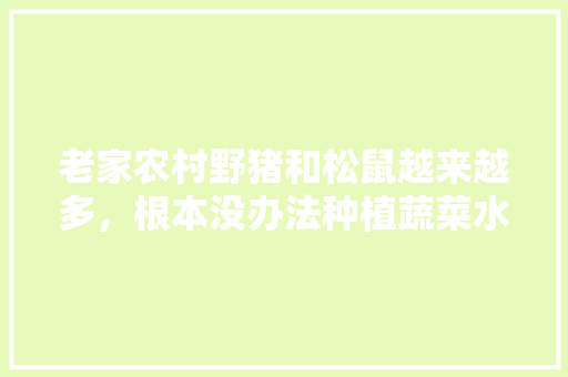 老家农村野猪和松鼠越来越多，根本没办法种植蔬菜水果怎么办，农人种植蔬菜和水果的作文。 老家农村野猪和松鼠越来越多，根本没办法种植蔬菜水果怎么办，农人种植蔬菜和水果的作文。 土壤施肥