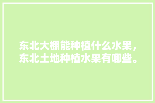 东北大棚能种植什么水果，东北土地种植水果有哪些。 东北大棚能种植什么水果，东北土地种植水果有哪些。 土壤施肥