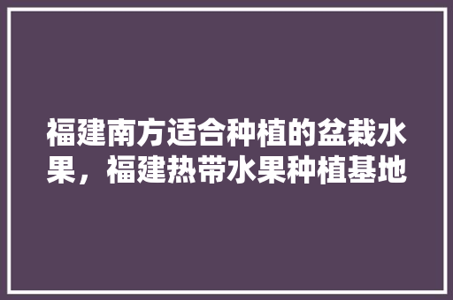 福建南方适合种植的盆栽水果，福建热带水果种植基地。 福建南方适合种植的盆栽水果，福建热带水果种植基地。 水果种植