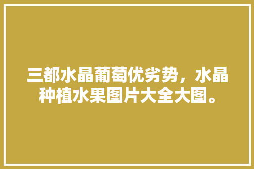 三都水晶葡萄优劣势，水晶种植水果图片大全大图。 三都水晶葡萄优劣势，水晶种植水果图片大全大图。 土壤施肥