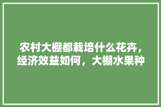 农村大棚都栽培什么花卉，经济效益如何，大棚水果种植户有补贴吗。 农村大棚都栽培什么花卉，经济效益如何，大棚水果种植户有补贴吗。 水果种植