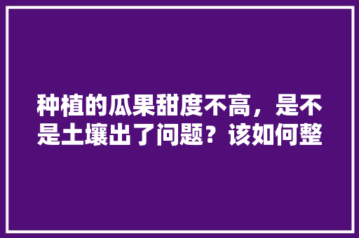 种植的瓜果甜度不高，是不是土壤出了问题？该如何整地施肥，水果甜度种植要求标准。 种植的瓜果甜度不高，是不是土壤出了问题？该如何整地施肥，水果甜度种植要求标准。 土壤施肥