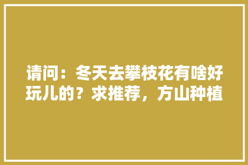 请问：冬天去攀枝花有啥好玩儿的？求推荐，方山种植水果基地在哪里。 请问：冬天去攀枝花有啥好玩儿的？求推荐，方山种植水果基地在哪里。 蔬菜种植