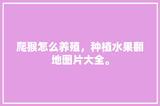 爬猴怎么养殖，种植水果翻地图片大全。 爬猴怎么养殖，种植水果翻地图片大全。 土壤施肥