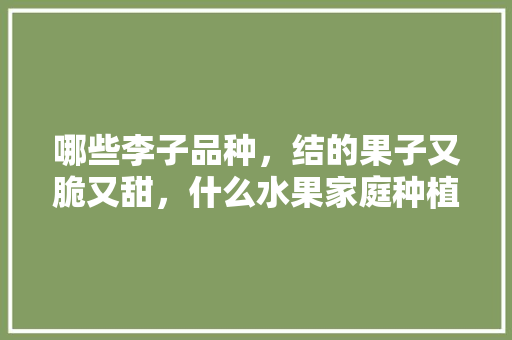 哪些李子品种，结的果子又脆又甜，什么水果家庭种植高产最好。 哪些李子品种，结的果子又脆又甜，什么水果家庭种植高产最好。 畜牧养殖