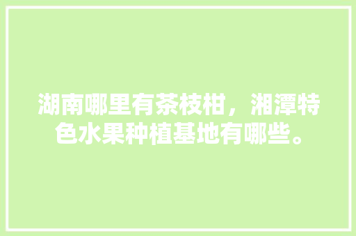 湖南哪里有茶枝柑，湘潭特色水果种植基地有哪些。 湖南哪里有茶枝柑，湘潭特色水果种植基地有哪些。 水果种植