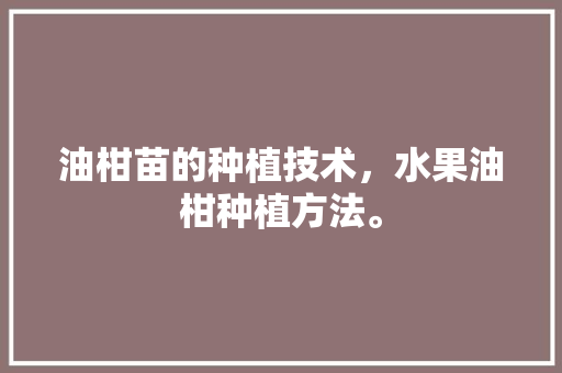 油柑苗的种植技术，水果油柑种植方法。 油柑苗的种植技术，水果油柑种植方法。 家禽养殖