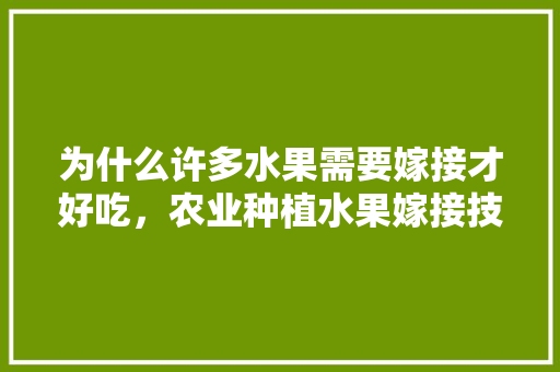 为什么许多水果需要嫁接才好吃，农业种植水果嫁接技术。 为什么许多水果需要嫁接才好吃，农业种植水果嫁接技术。 土壤施肥