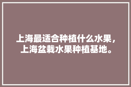 上海最适合种植什么水果，上海盆栽水果种植基地。 上海最适合种植什么水果，上海盆栽水果种植基地。 蔬菜种植