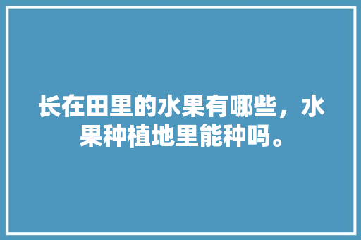 长在田里的水果有哪些，水果种植地里能种吗。 长在田里的水果有哪些，水果种植地里能种吗。 土壤施肥