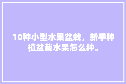 10种小型水果盆栽，新手种植盆栽水果怎么种。 10种小型水果盆栽，新手种植盆栽水果怎么种。 水果种植