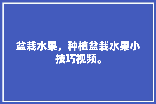 盆栽水果，种植盆栽水果小技巧视频。 盆栽水果，种植盆栽水果小技巧视频。 畜牧养殖