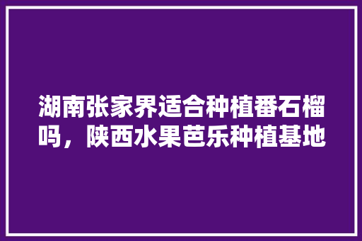 湖南张家界适合种植番石榴吗，陕西水果芭乐种植基地在哪里。 湖南张家界适合种植番石榴吗，陕西水果芭乐种植基地在哪里。 家禽养殖