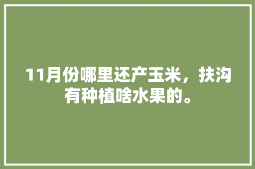 11月份哪里还产玉米，扶沟有种植啥水果的。 11月份哪里还产玉米，扶沟有种植啥水果的。 水果种植